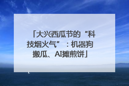 大兴西瓜节的“科技烟火气”：机器狗搬瓜、AI摊煎饼