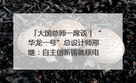 大国总师一席谈｜“华龙一号”总设计师邢继：自主创新铸就核电“国家名片”