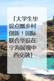 大学生毕设点燃乡村创新！国际联合毕设在宁海展现中西交融