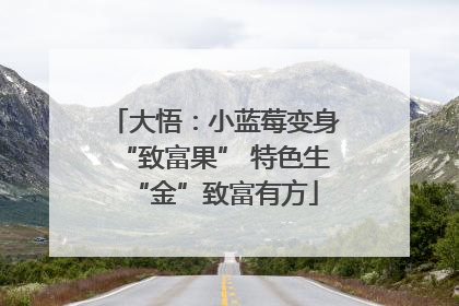 大悟：小蓝莓变身“致富果” 特色生“金”致富有方