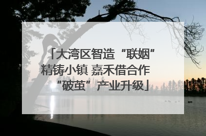 大湾区智造“联姻”精铸小镇 嘉禾借合作“破茧”产业升级
