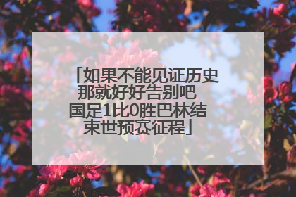 如果不能见证历史 那就好好告别吧 国足1比0胜巴林结束世预赛征程