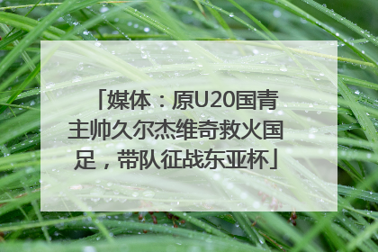媒体：原U20国青主帅久尔杰维奇救火国足，带队征战东亚杯