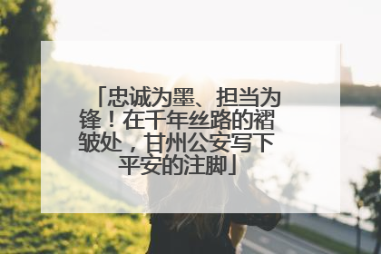 忠诚为墨、担当为锋！在千年丝路的褶皱处，甘州公安写下平安的注脚