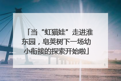 当“虹猫娃”走进淮东园，皂荚树下一场幼小衔接的探索开始啦