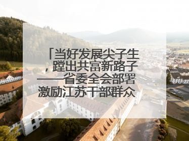 当好发展尖子生，蹚出共富新路子——省委全会部署激励江苏干部群众促进全体人民共同富裕