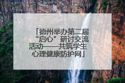 德州举办第二届“启心”研讨交流活动——共筑学生心理健康防护网