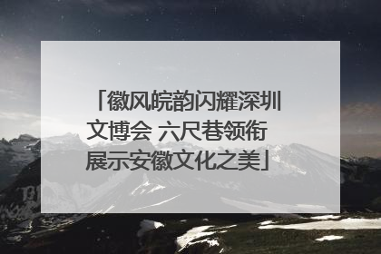 徽风皖韵闪耀深圳文博会 六尺巷领衔展示安徽文化之美