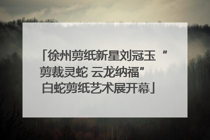徐州剪纸新星刘冠玉“剪裁灵蛇 云龙纳福” 白蛇剪纸艺术展开幕