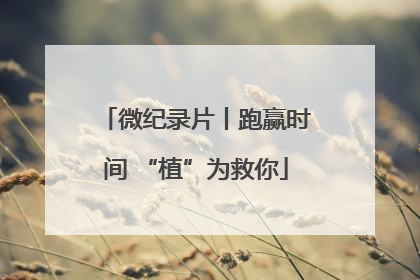 微纪录片丨跑赢时间 “植”为救你