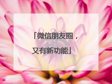 微信朋友圈，又有新功能