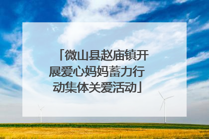 微山县赵庙镇开展爱心妈妈蓄力行动集体关爱活动