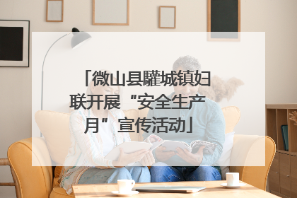微山县驩城镇妇联开展“安全生产月”宣传活动