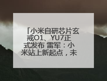 小米自研芯片玄戒O1、YU7正式发布 雷军：小米站上新起点，未来五年研发翻倍再投2000亿元