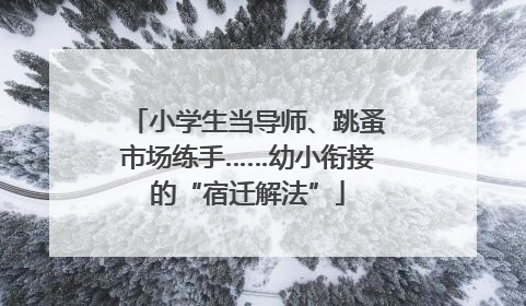 小学生当导师、跳蚤市场练手……幼小衔接的“宿迁解法”