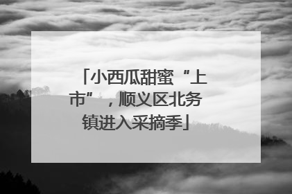 小西瓜甜蜜“上市”，顺义区北务镇进入采摘季