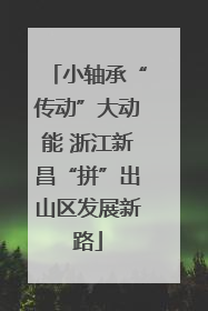 小轴承“传动”大动能 浙江新昌“拼”出山区发展新路