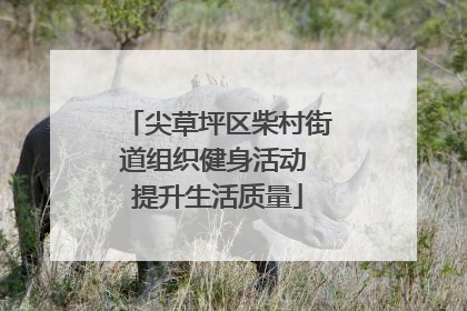 尖草坪区柴村街道组织健身活动 提升生活质量