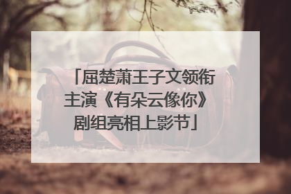 屈楚萧王子文领衔主演《有朵云像你》剧组亮相上影节