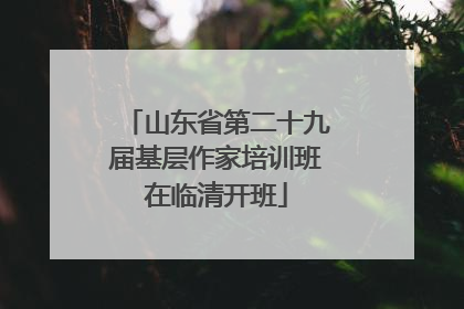 山东省第二十九届基层作家培训班在临清开班