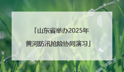 山东省举办2025年黄河防汛抢险协同演习