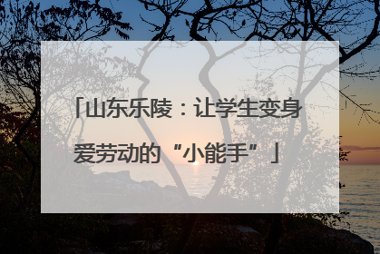 山东乐陵：让学生变身爱劳动的“小能手”