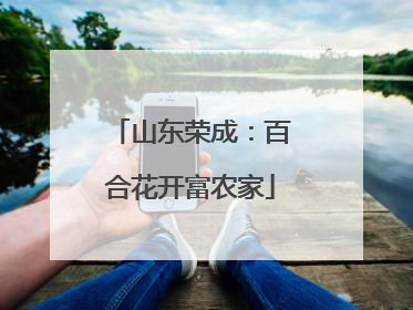 山东荣成：百合花开富农家