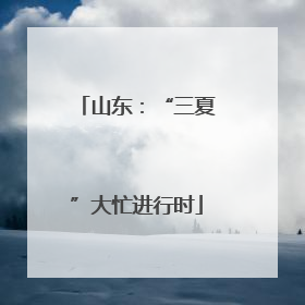 山东：“三夏”大忙进行时