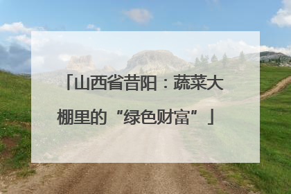 山西省昔阳：蔬菜大棚里的“绿色财富”