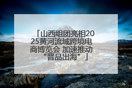山西组团亮相2025黄河流域跨境电商博览会 加速推动“晋品出海”