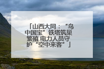 山西大同：“鸟中国宝”铁塔筑巢繁殖 电力人员守护“空中来客”