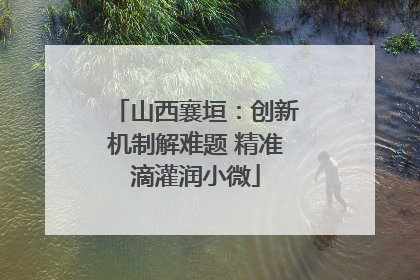 山西襄垣：创新机制解难题 精准滴灌润小微