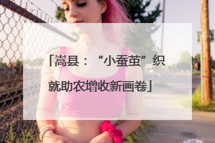嵩县：“小蚕茧”织就助农增收新画卷