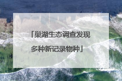 巢湖生态调查发现多种新记录物种