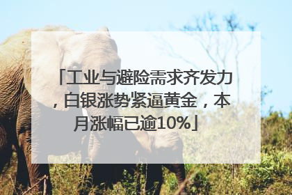 工业与避险需求齐发力，白银涨势紧逼黄金，本月涨幅已逾10%
