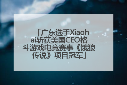 广东选手Xiaohai斩获美国CEO格斗游戏电竞赛事《饿狼传说》项目冠军