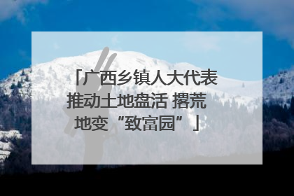 广西乡镇人大代表推动土地盘活 撂荒地变“致富园”