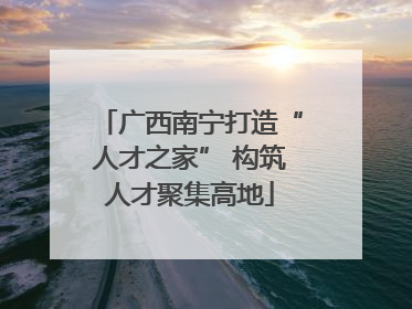 广西南宁打造“人才之家” 构筑人才聚集高地