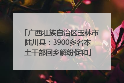 广西壮族自治区玉林市陆川县：3900多名本土干部回乡解纷促和