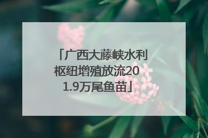广西大藤峡水利枢纽增殖放流201.9万尾鱼苗