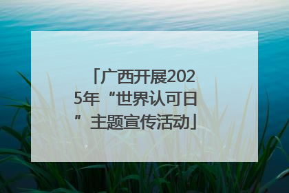 广西开展2025年“世界认可日”主题宣传活动