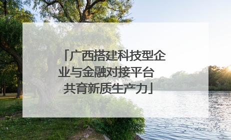 广西搭建科技型企业与金融对接平台 共育新质生产力