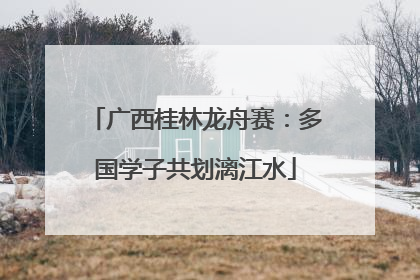 广西桂林龙舟赛：多国学子共划漓江水