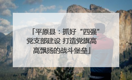 平原县：抓好“四强”党支部建设 打造党旗高高飘扬的战斗堡垒