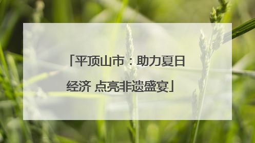 平顶山市：助力夏日经济 点亮非遗盛宴