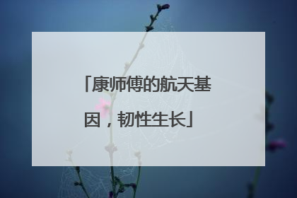 康师傅的航天基因，韧性生长