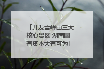 开发雪峰山三大核心景区 湖南国有资本大有可为