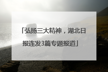 弘扬三大精神，湖北日报连发3篇专题报道
