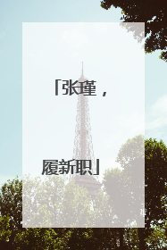 张瑾，履新职