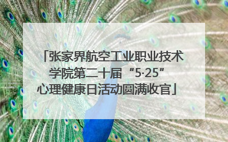 张家界航空工业职业技术学院第二十届“5·25”心理健康日活动圆满收官